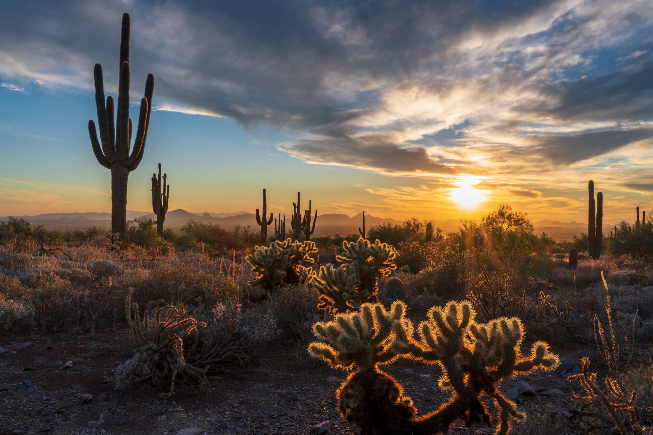 Sunset in Peoria Arizona.