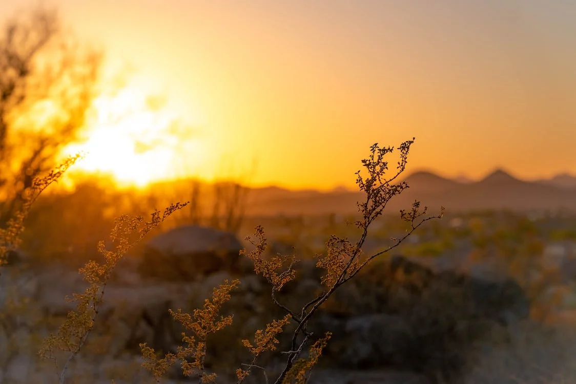 sunset in paradise valley