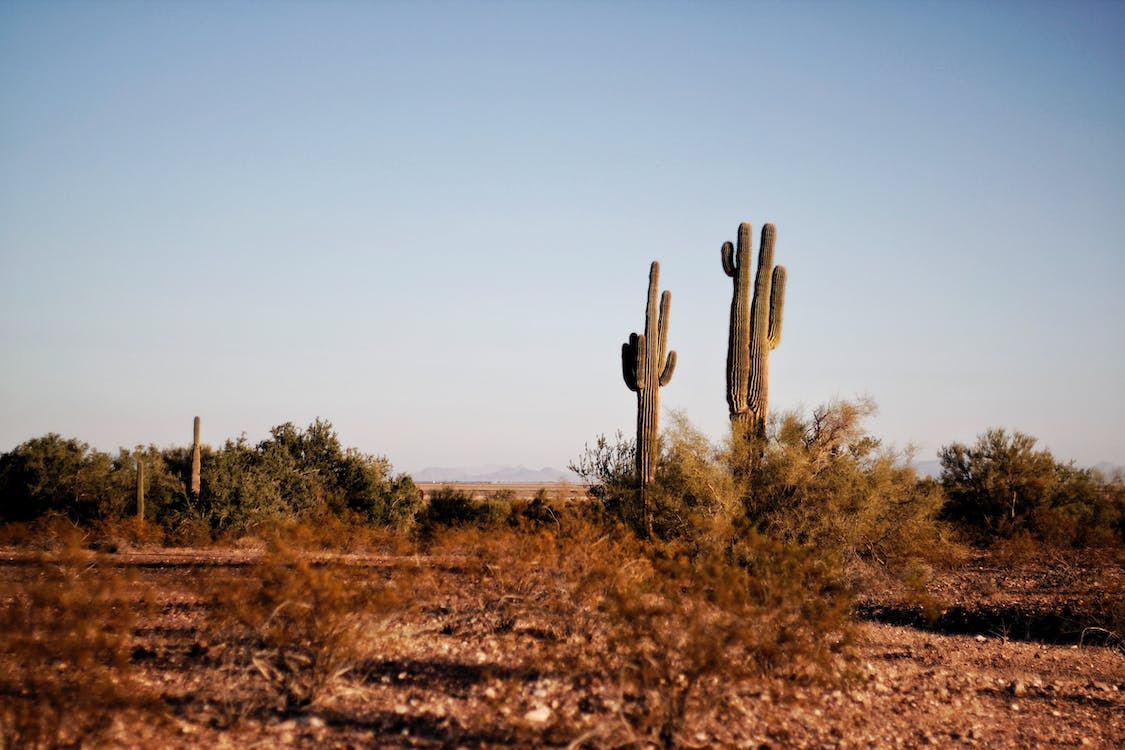 queen creek arizona