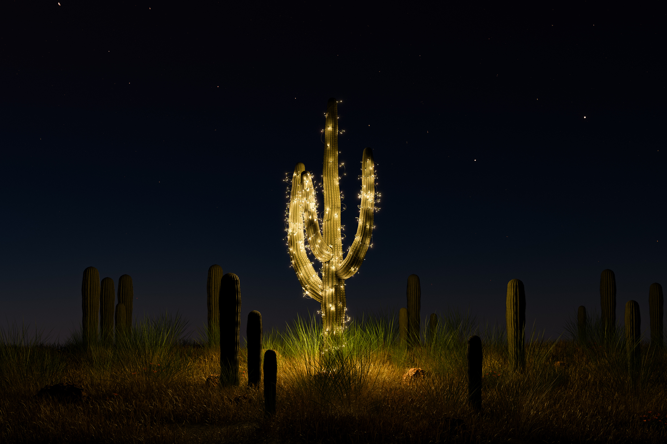 Featured image for “Transforming Desert Landscapes: Innovative Event Lighting Techniques in Arizona”