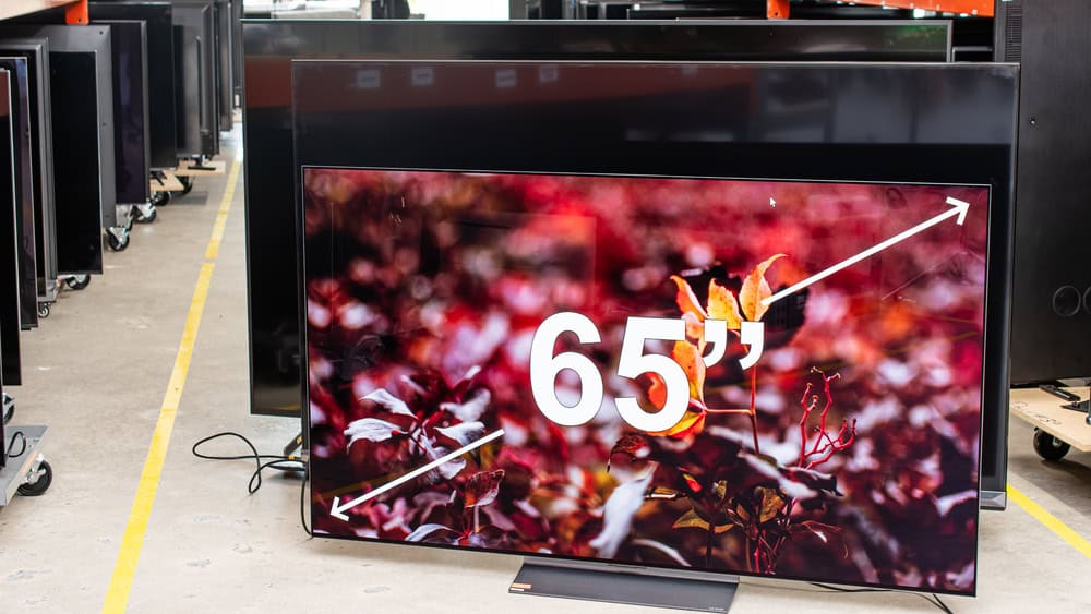 65